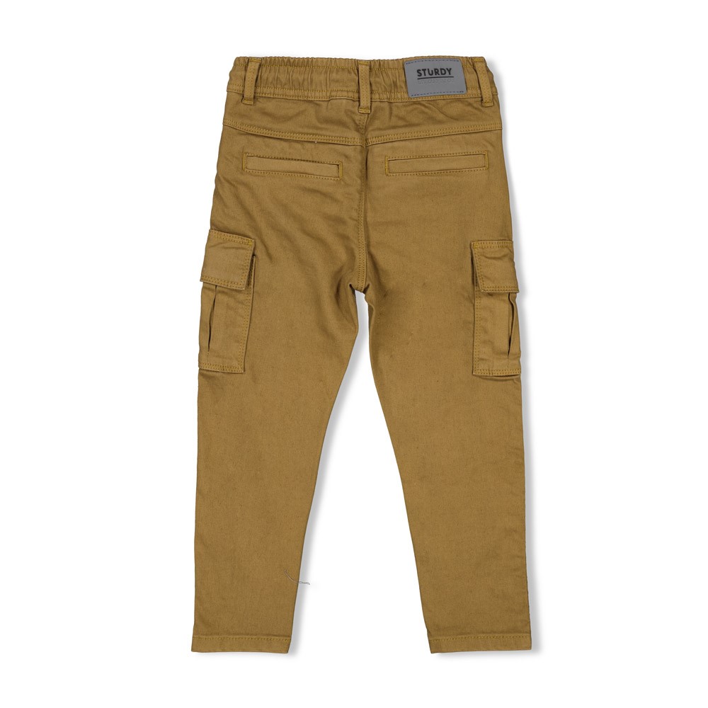 Sturdy  Cargo Broek Olijf 72200240