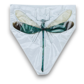 Neurobasis Chinensis let op B kwaliteit