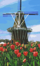 Molen