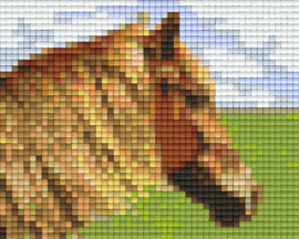 Pony