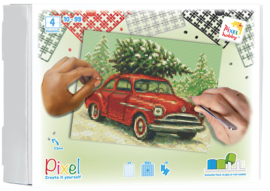 Auto met kerstboom
