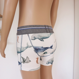 Boxer 98 104 Under the Sea #2