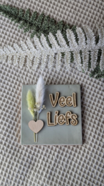 Tegeltje | Veel liefs