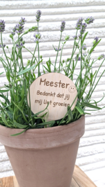 Meester Plantensteker – “Bedankt dat jij mij liet groeien”
