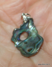 abalone schelp