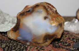 Agaat geode thunderegg Steragaat