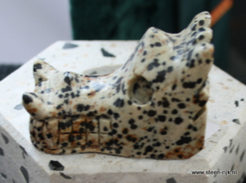 skull draak dalmatier jaspis