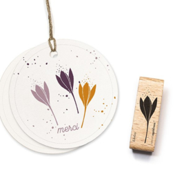 Stempel krokus bloem