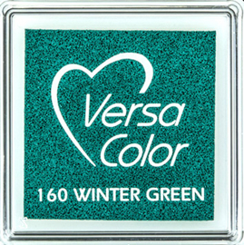 Versacolor |  160 WINTER GREEN | Groen stempelkussen