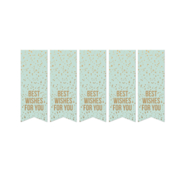 Vaantje sluitsticker, quote best wishes for you mint (10 stuks)