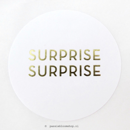 Sluitstickers rond Surprise  (10 stuks)