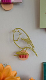 Roodborstje - Oranjerood