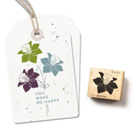 Plant stempel narcis bloem