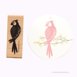 Stempel hout papegaai vogel