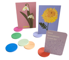 Kaarthouder confetti - Mintgroen