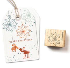 Kerstster (8)