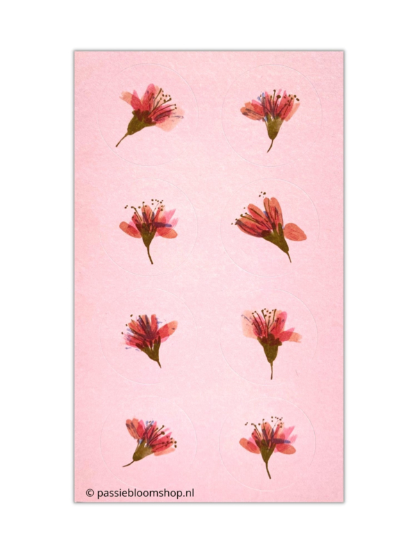 Ronde bloemen stickers roze