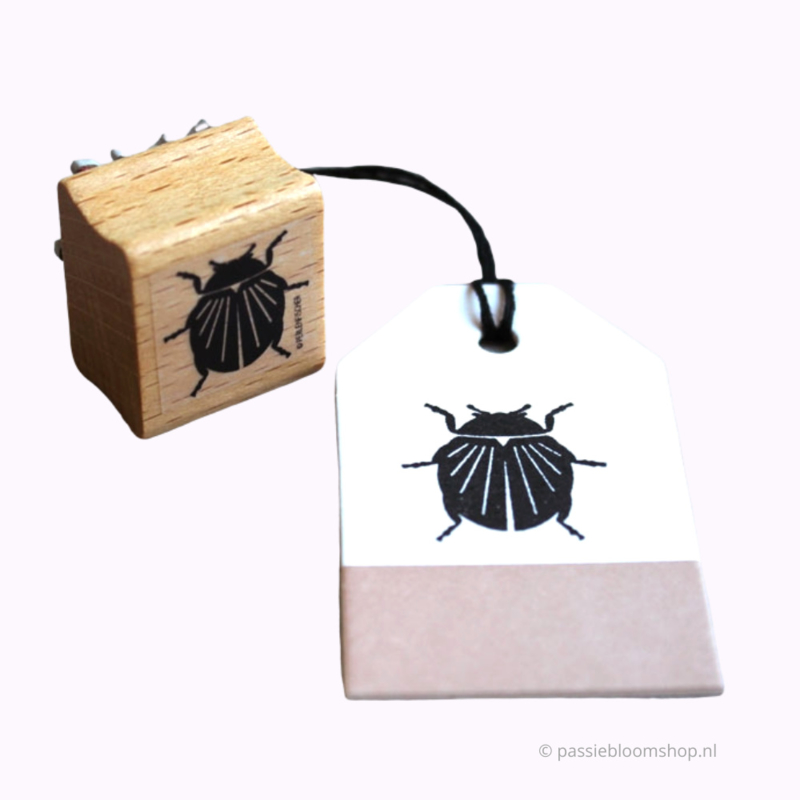 Stempel hout insect, kevertje