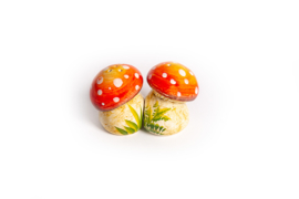 Peper- en zoutsetje paddenstoel rood/witte stippen