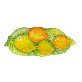 Lepellegger citroen en sinaasappel