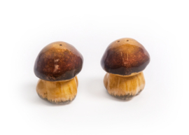 peper- en zoutsetje paddenstoel bruin