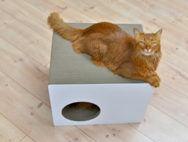 Cat-On Phredia Eckhaus