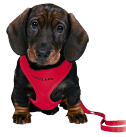Softtuigje met riem (rood)