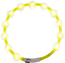 LED-halsband Jack and Vanilla (20-75 cm)