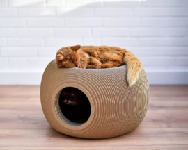 Cat-On Bille basket