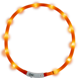 LED-halsband Jack and Vanilla (20-75 cm)