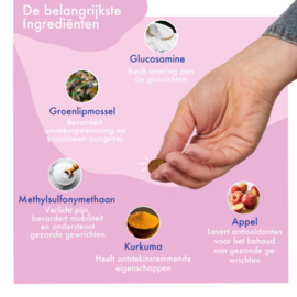 FestyBites Heup & Gewricht (180 gram)