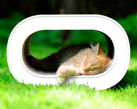 Cat-On Le Tronc