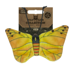 Gele vlinder kattenkruid