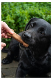 Bugbone medium snacks (basis insecteneiwitten)