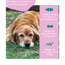 FestyBites Heup & Gewricht (180 gram)