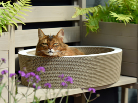 Cat-On Lovale basket