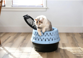 Ronde reismand katten