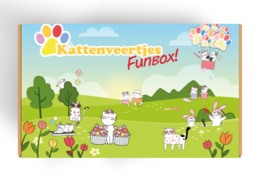 Fun box kattenveertjes