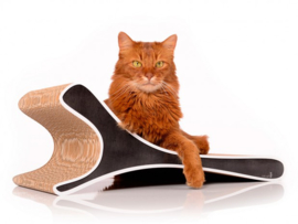 Cat-On Feline