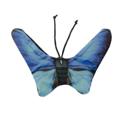 Blauwe vlinder kattenkruid