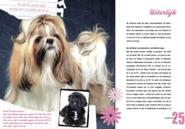 De Shih Tzu