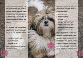 De Shih Tzu