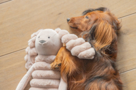 Hang Konijn DBL Reza