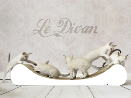 Cat-On Le Divan