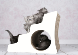 Cat-On Lescalier