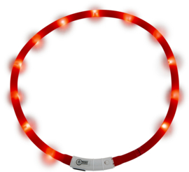 LED-halsband Jack and Vanilla (20-75 cm)