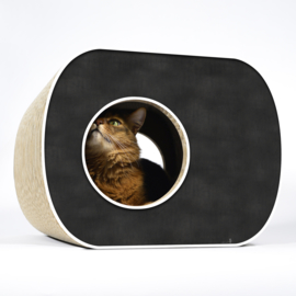 Cat-On Brochhaus Junior