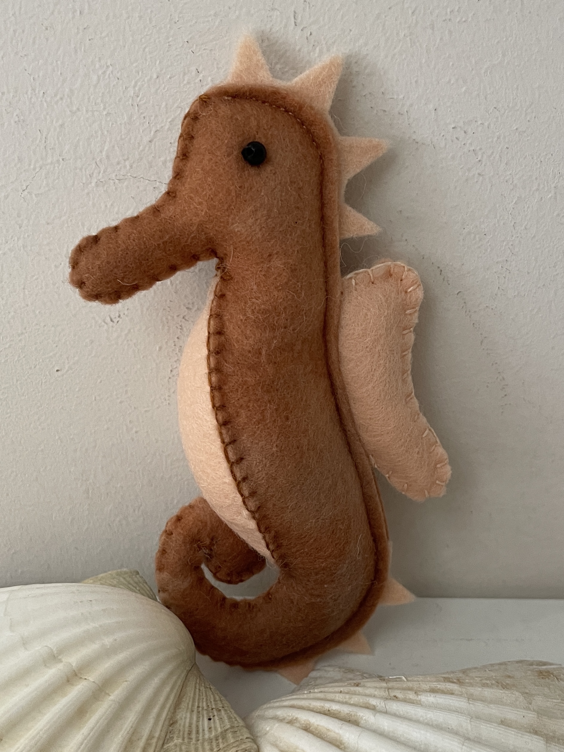 Seepferdchen groß braun