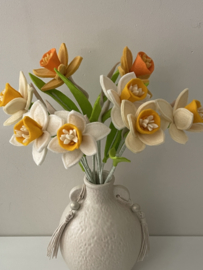 Narcis - Meerdere kleuren