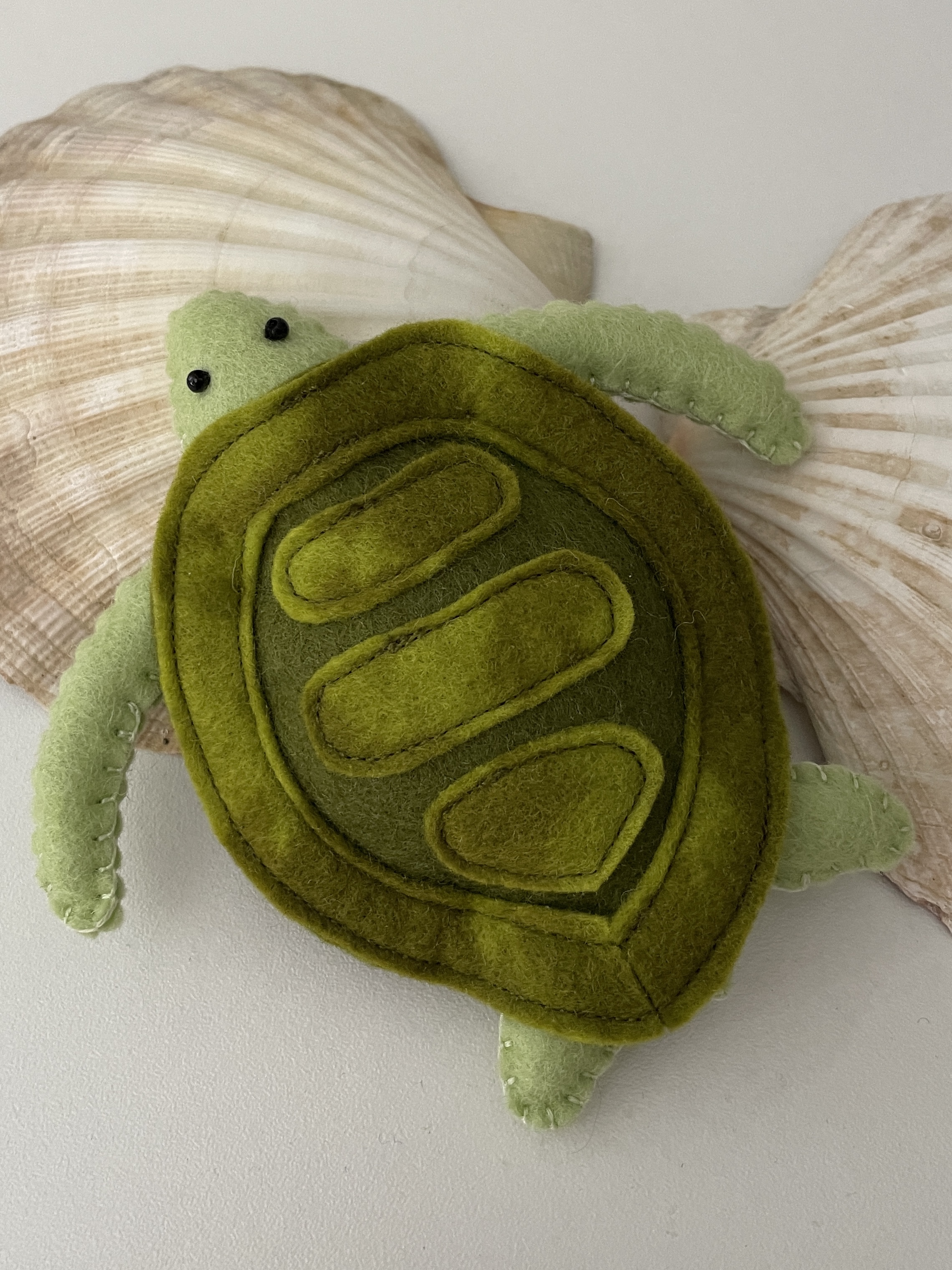 Schildkröte groß